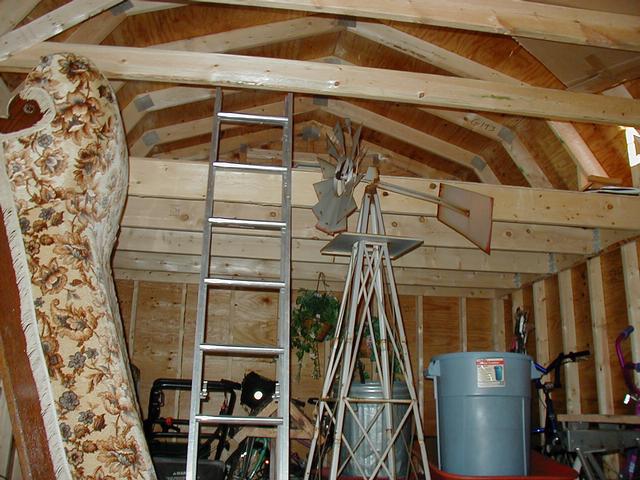 New House - Shed in Backyard