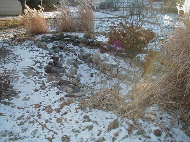 New House - Fish Pond in Backyard