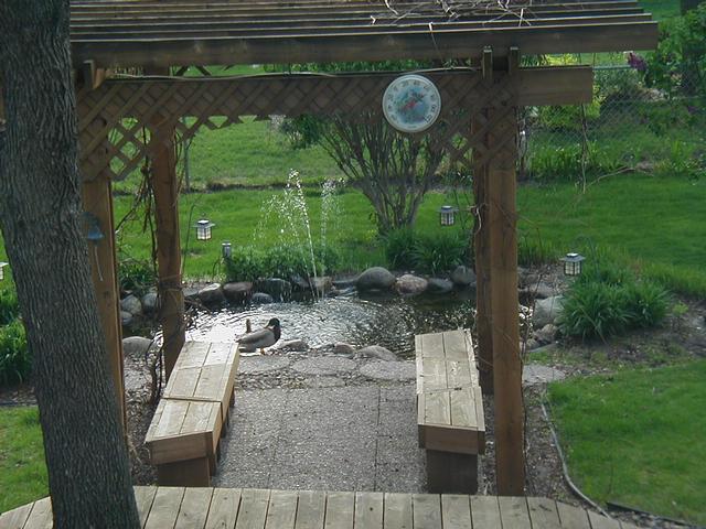 Quack!