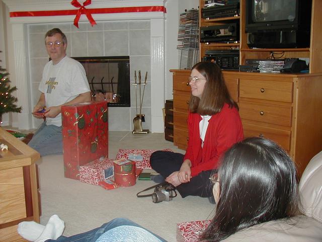 Christmas in Houston