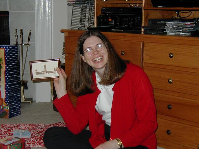 Christmas in Houston