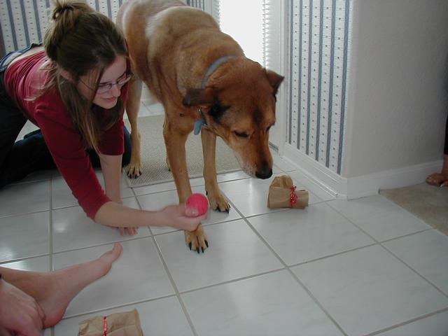 Christmas in Houston