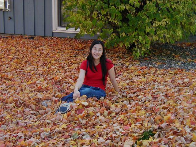 Northshore, Fall 2003