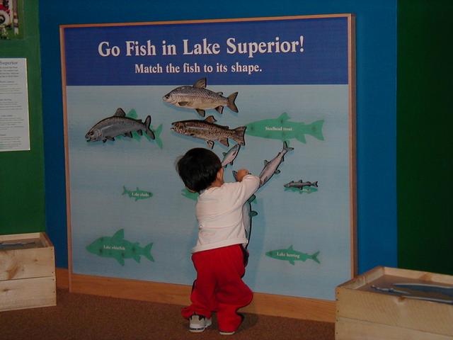 Northshore, Fall 2003