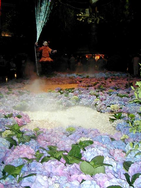 Las Vegas Trip - Bellagio Conservatory