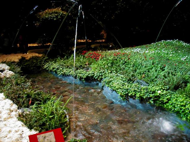 Las Vegas Trip - Bellagio Conservatory