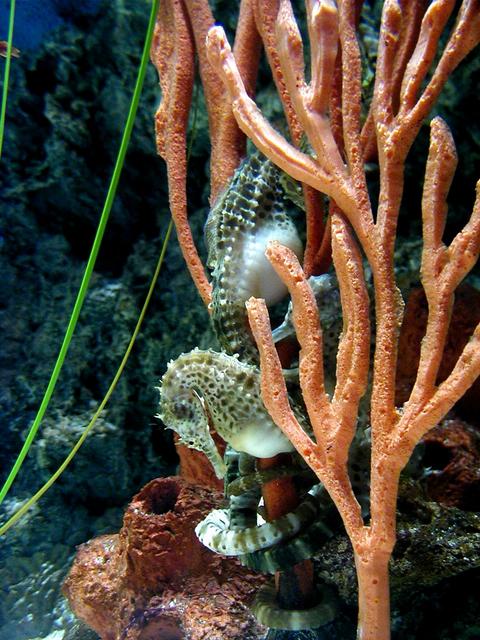 Las Vegas Trip - Caeser's Palace