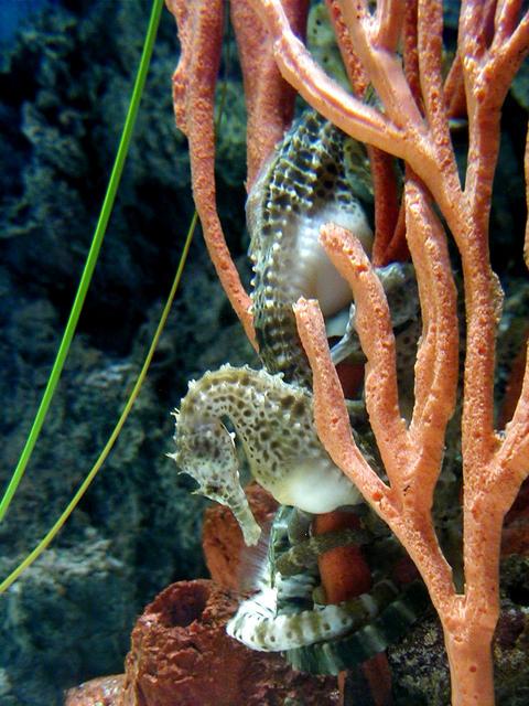 Las Vegas Trip - Bellagio