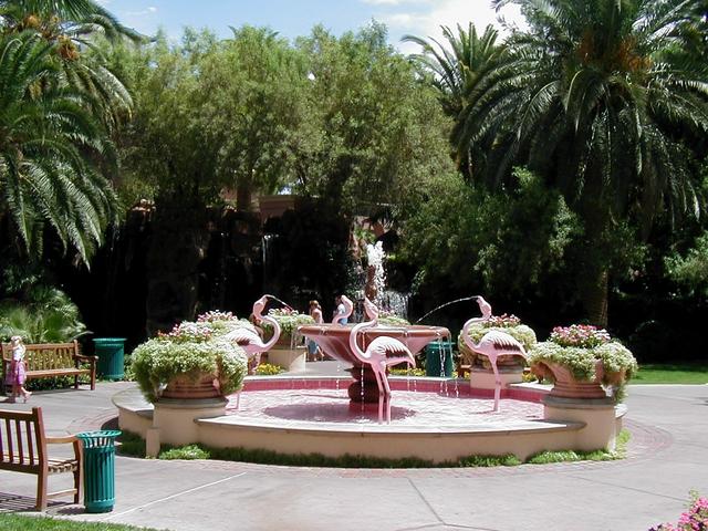 Las Vegas Trip - Flamingo Wildlife Habitat