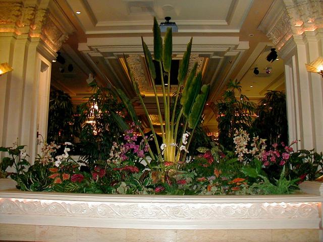 Las Vegas Trip - Orchid Lounge at Mandalay Bay