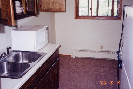Matt's Kitchen (before Furniture)