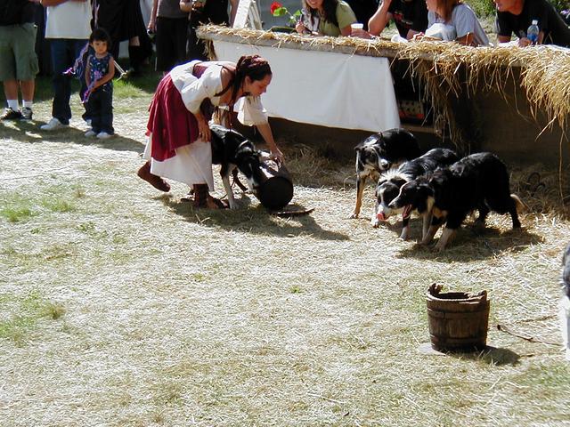MN Renaissance Festival 2004