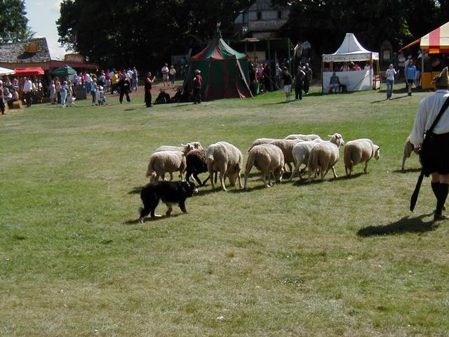 MN Renaissance Festival 2004