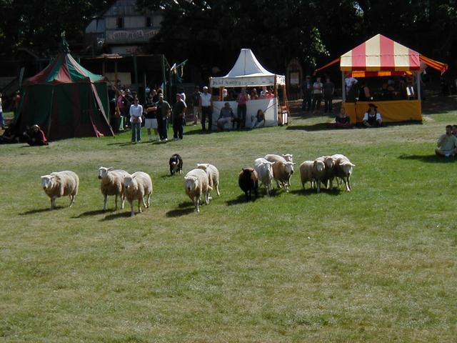 MN Renaissance Festival 2004