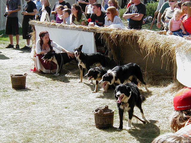 MN Renaissance Festival 2004