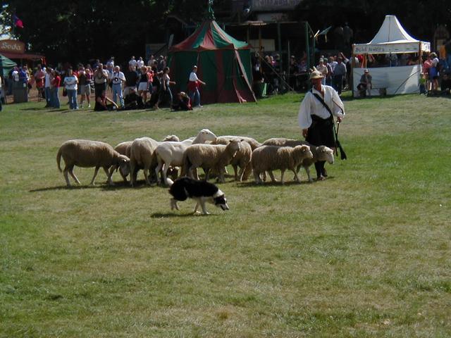 MN Renaissance Festival 2004