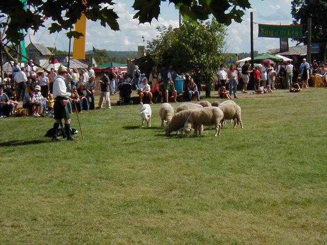 MN Renaissance Festival 2004