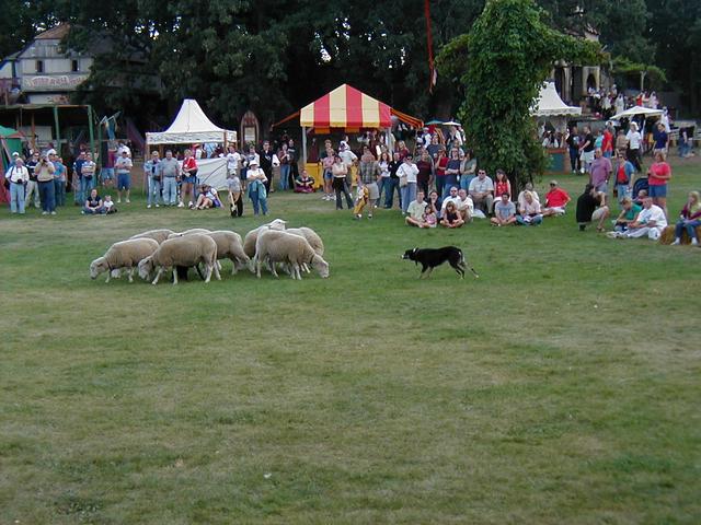 MN Renaissance Festival 2004