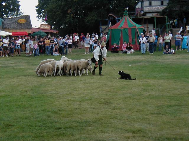 MN Renaissance Festival 2004