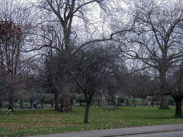 London Trip, Christmas 2004