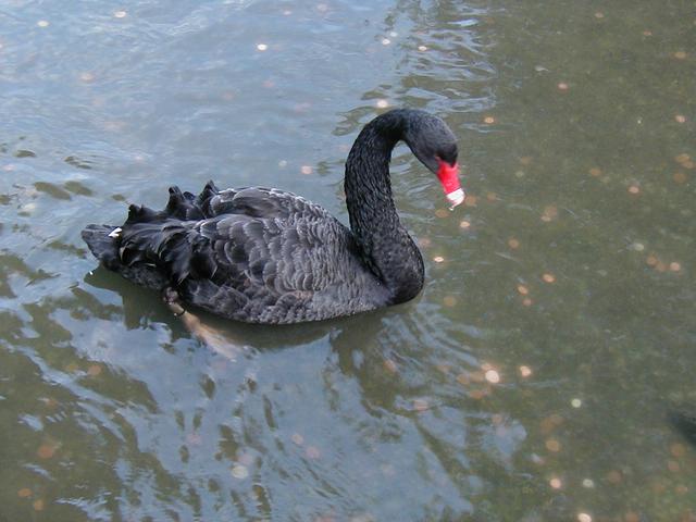 London Trip, Christmas 2004