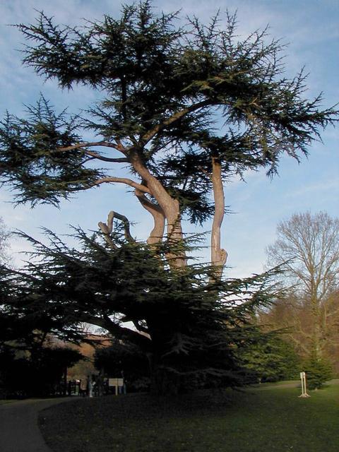 London Trip, Christmas 2004