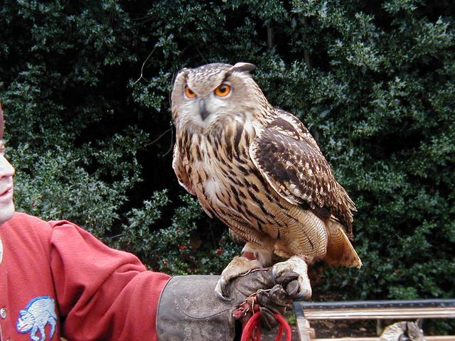 London Trip, Christmas 2004