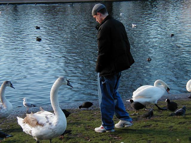 London Trip, Christmas 2004