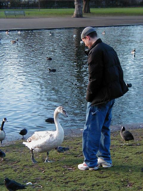 London Trip, Christmas 2004