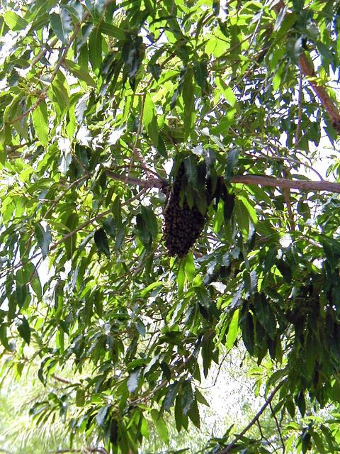 Jeff's Wedding - Wedding Day