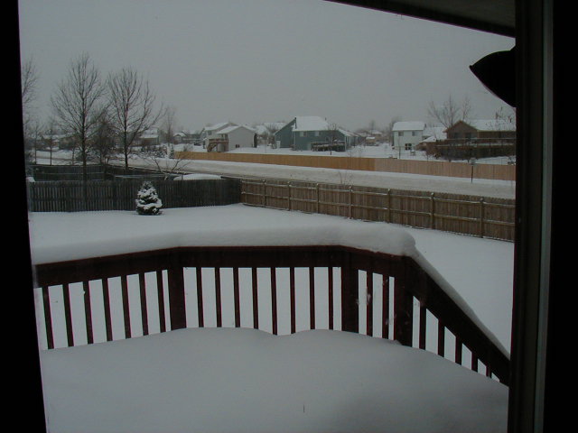 Yen Kang and Lehang's New House -- Deck and Backyard