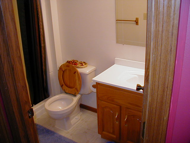 Yen Kang and Lehang's New House -- Basement Bathroom