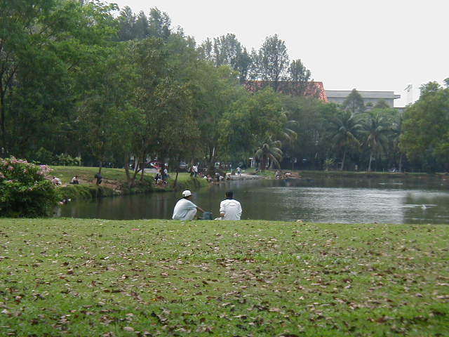 A Pay-to-Fish Lake in Subang