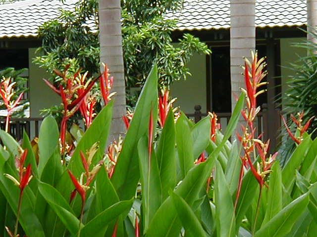 A Resort in Cyberjaya