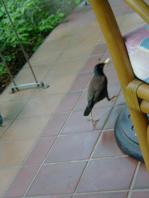 Escaping with the Goods