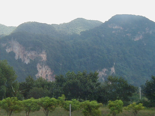 Scenery between Penang and KL