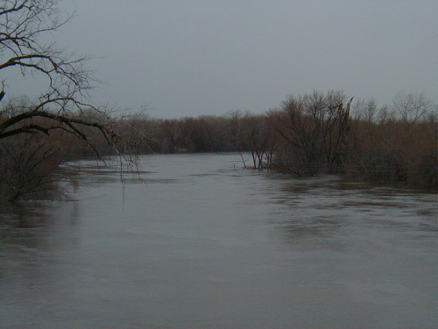 The Flooded Minnesota River