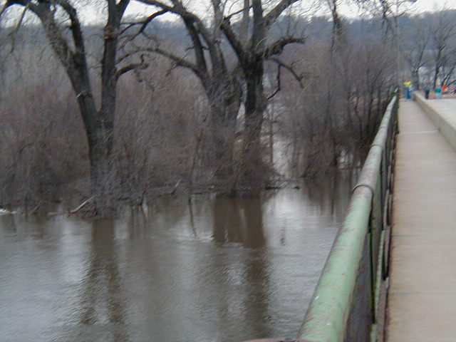 The Flooded Minnesota River