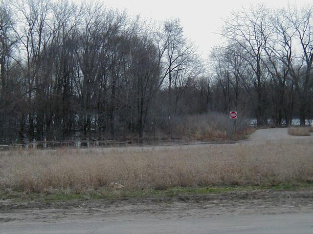 The Flooded Minnesota River