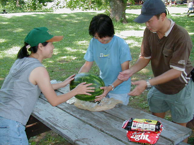 Canoeing at Taylors Falls, MN