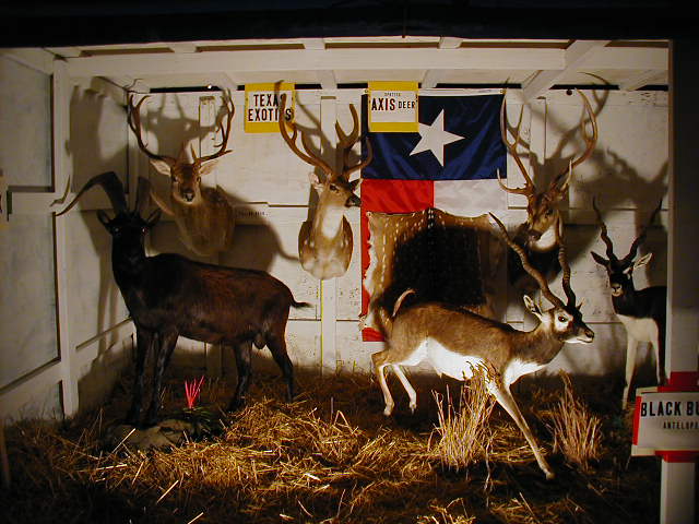 The Stephenson's Animal Display