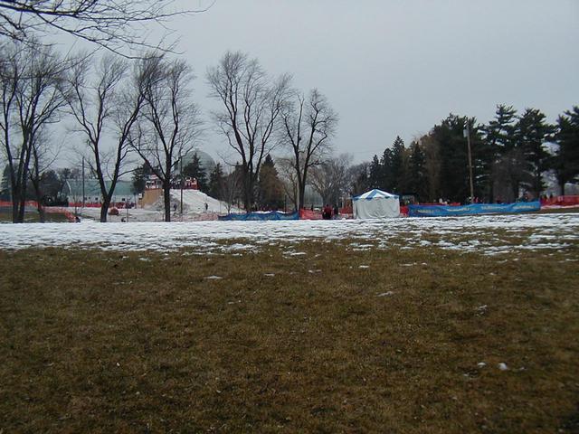 Green Grass during Winter Carnival?