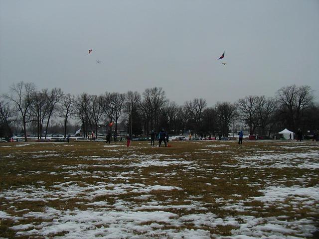 Saint Paul Winter Carnival 2002