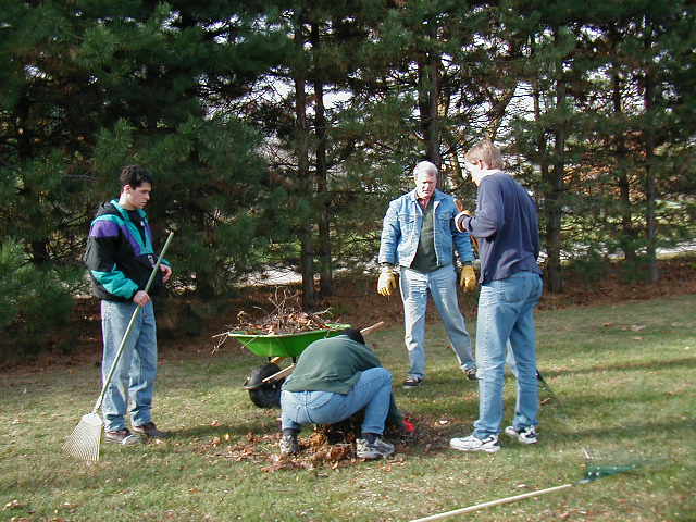 Raking up the Last of the Tree