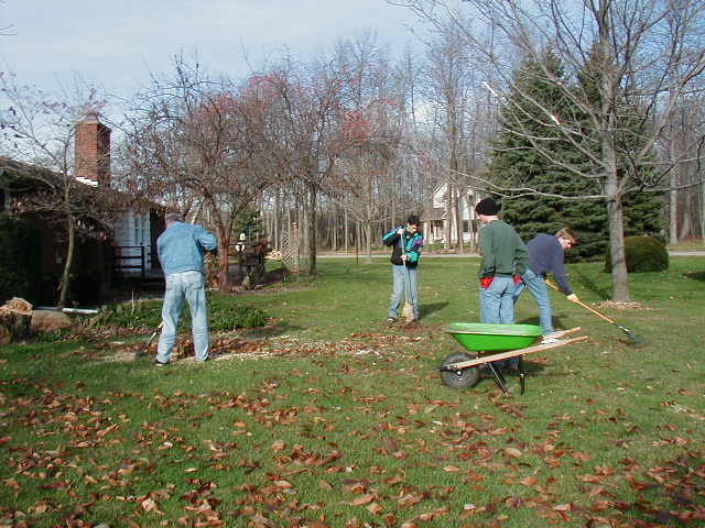 Raking up the Last of the Tree