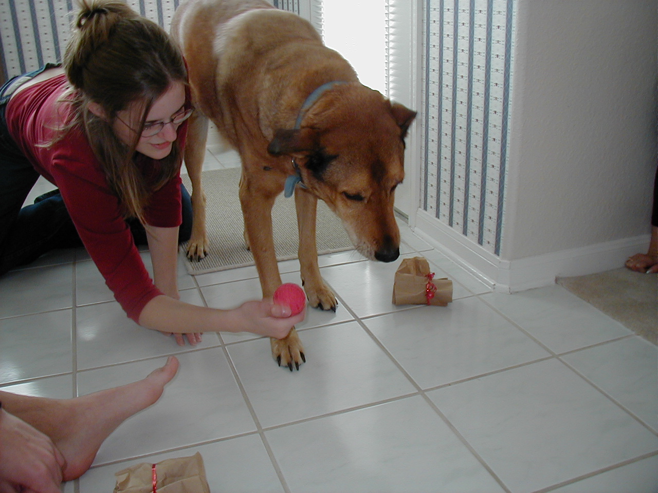 Christmas in Houston