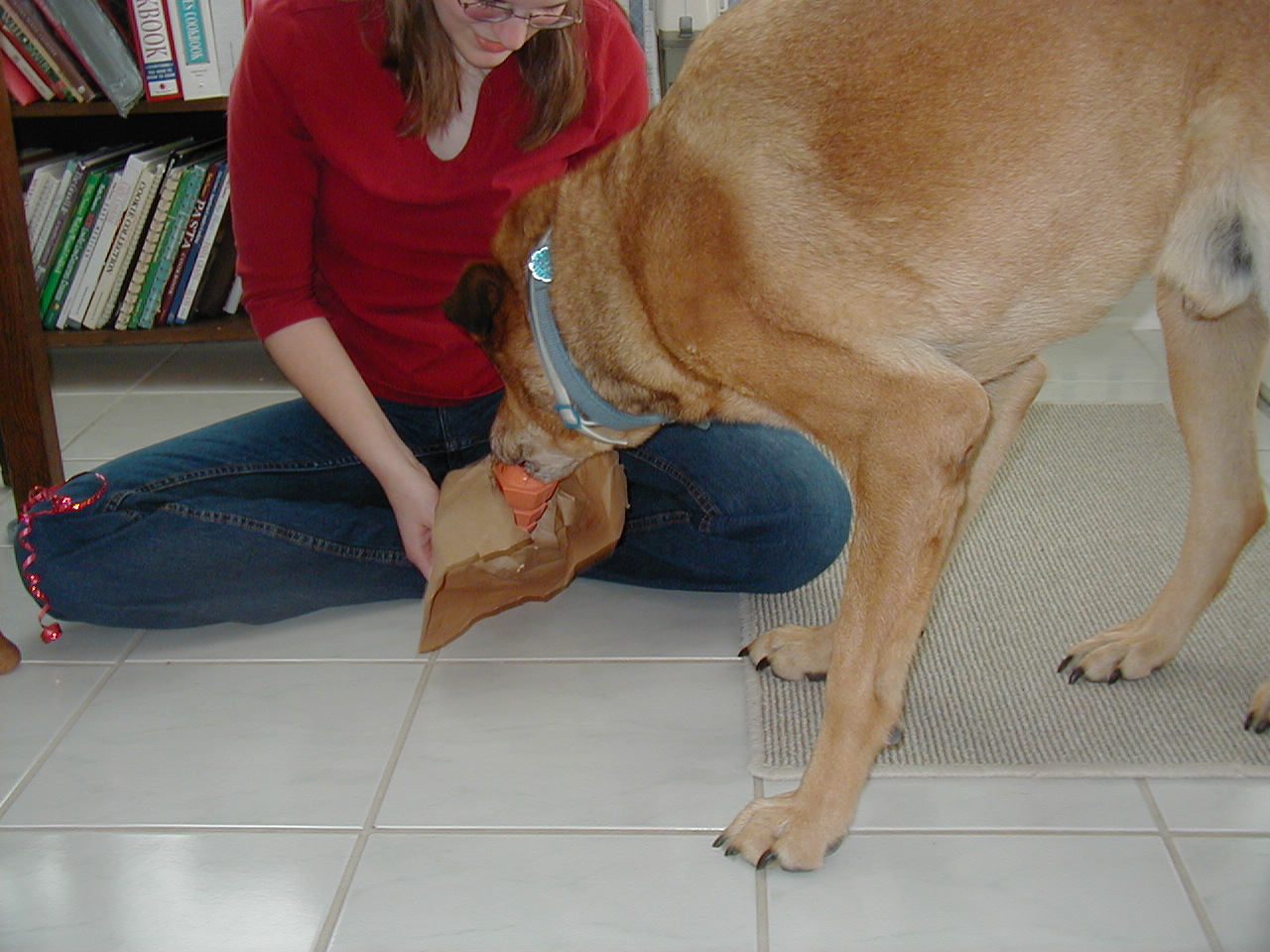 Christmas in Houston