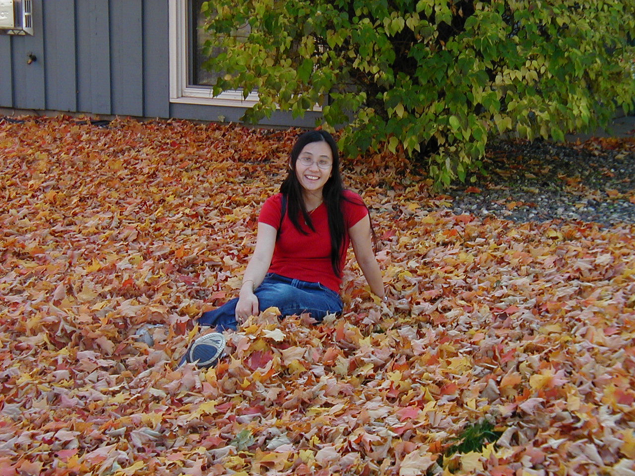 Northshore, Fall 2003