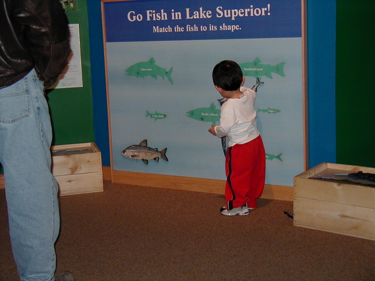 Northshore, Fall 2003