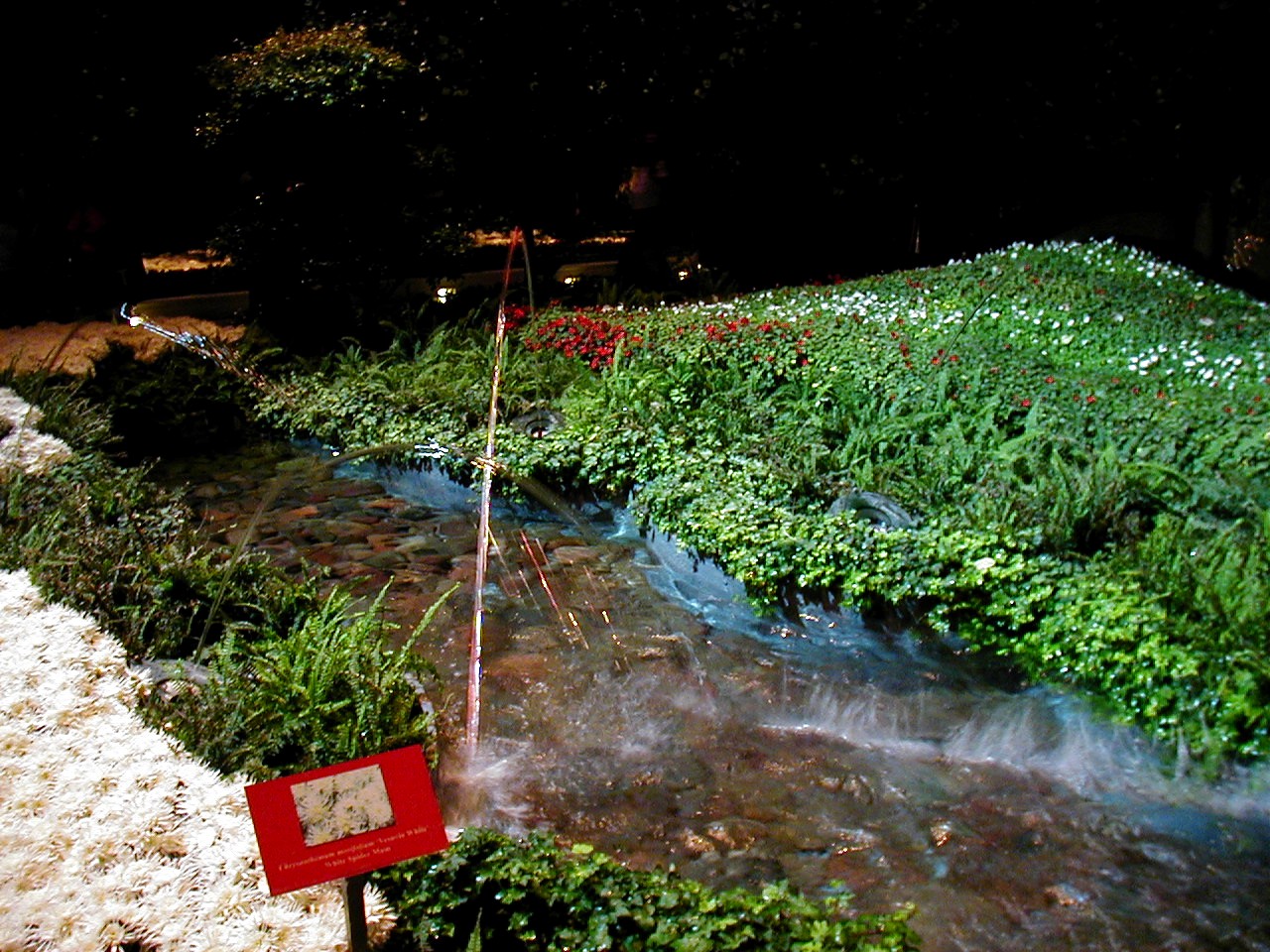 Las Vegas Trip - Bellagio Conservatory